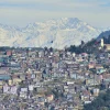 shimla