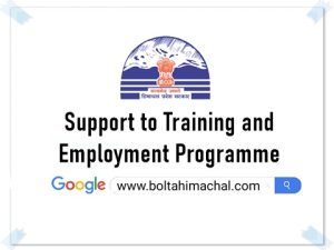 Support to Training and Employment Programme