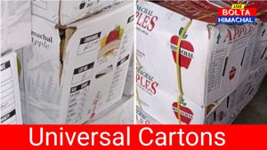 Apple Session : Universal Cartons