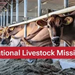 National Livestock Mission (NLM)