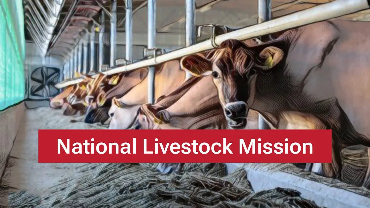 National Livestock Mission (NLM)