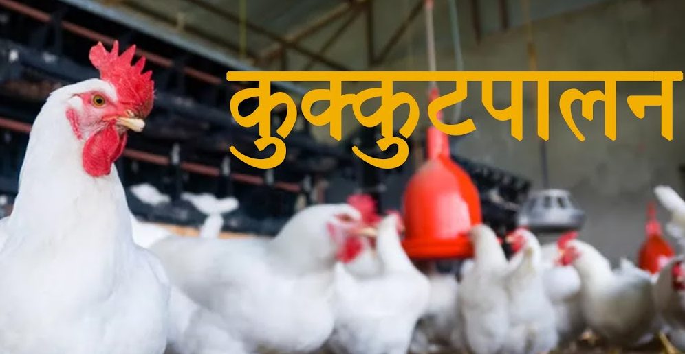 Poultry Development Scheme in Himachal Pradesh