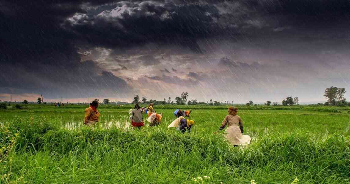 Restructured Weather Based Crop Insurance Scheme