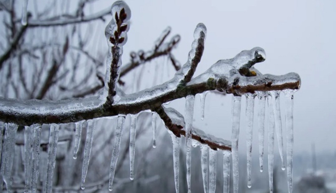 Himachal Weather Update