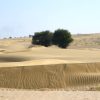 Desert National ParK