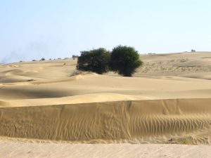 Desert National ParK